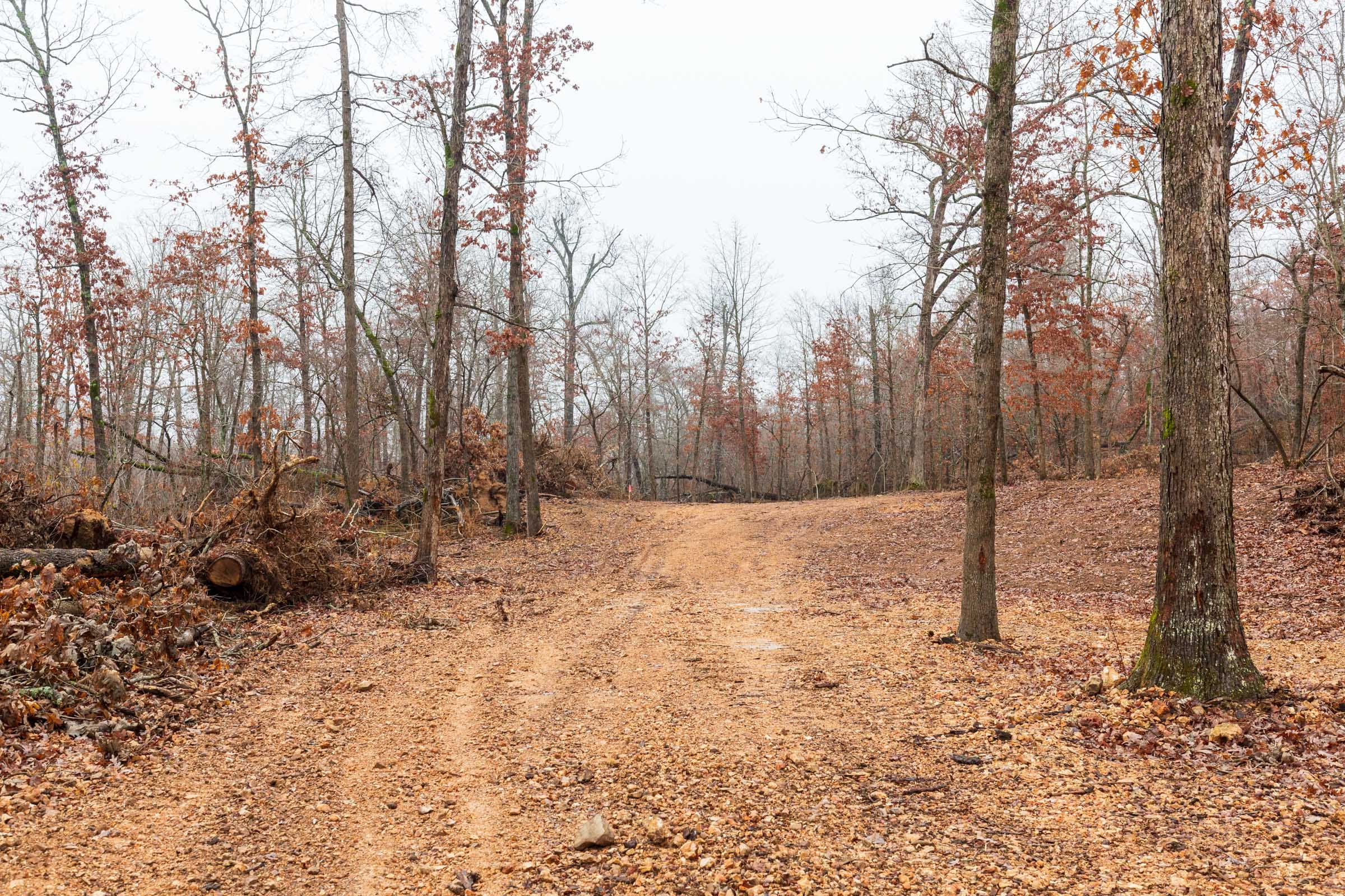 Carter’s Crossing Tract 11 photo 11