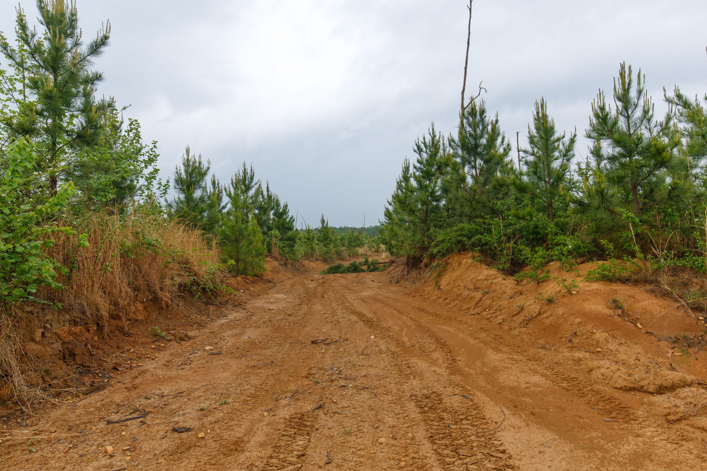 Red Barn Ranch Tract 32 photo 1