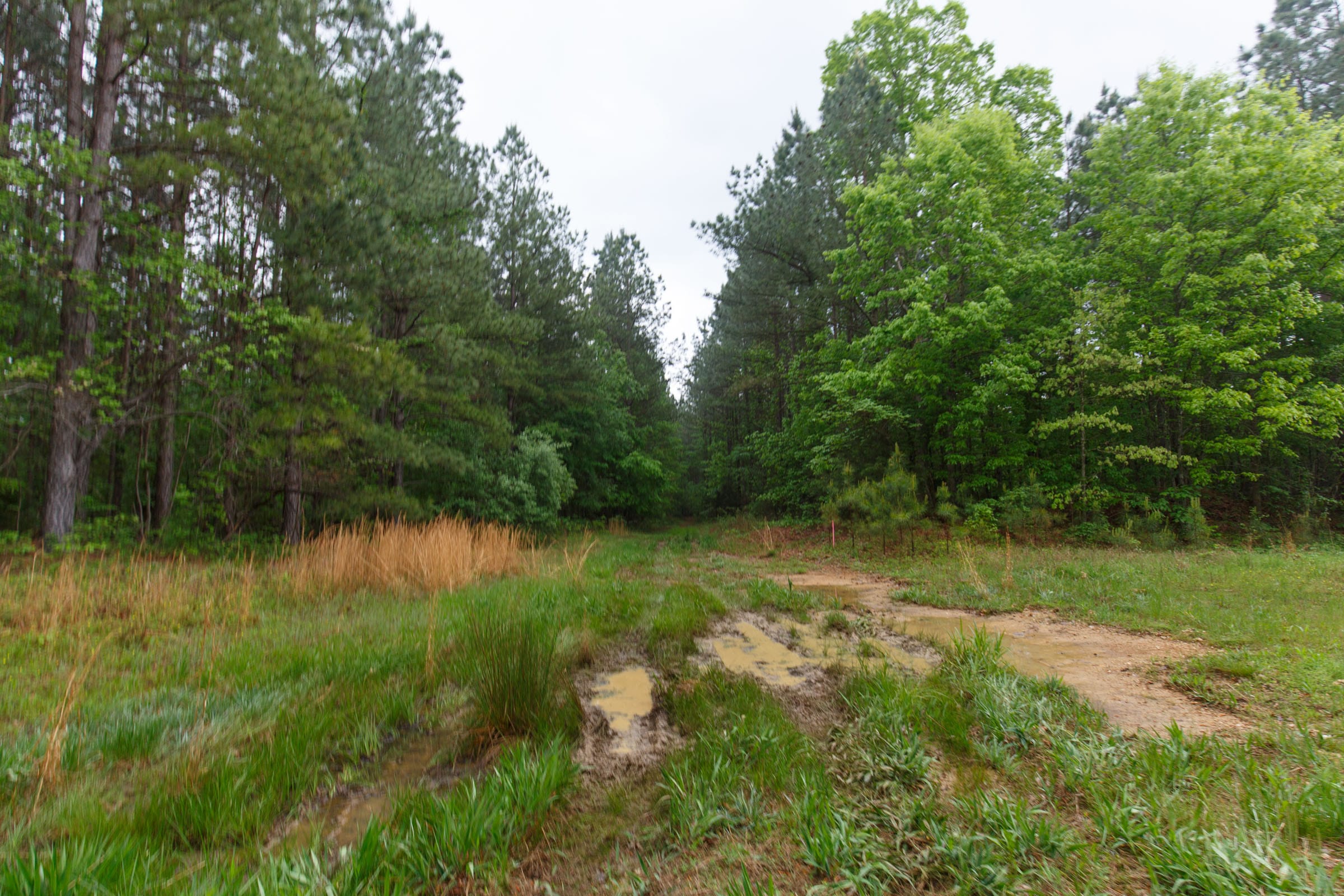 Red Barn Ranch Tract 32 photo 6