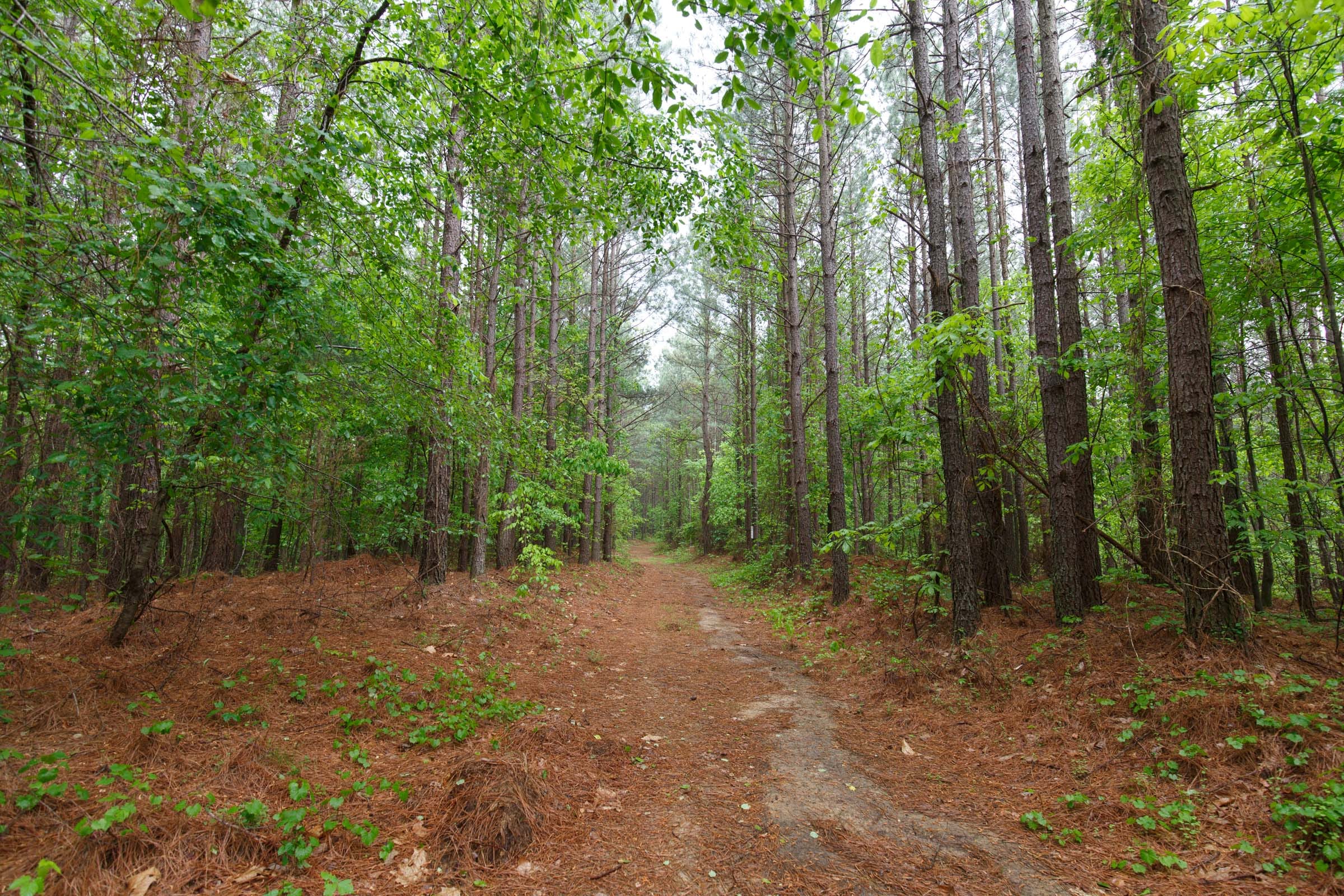 Red Barn Ranch Tract 32 photo 7