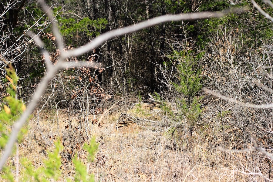 Montgomery Ranch Tract 6 photo 7