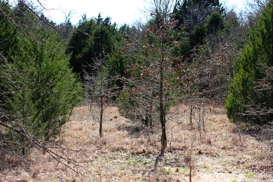 Montgomery Ranch Tract 6 photo 9