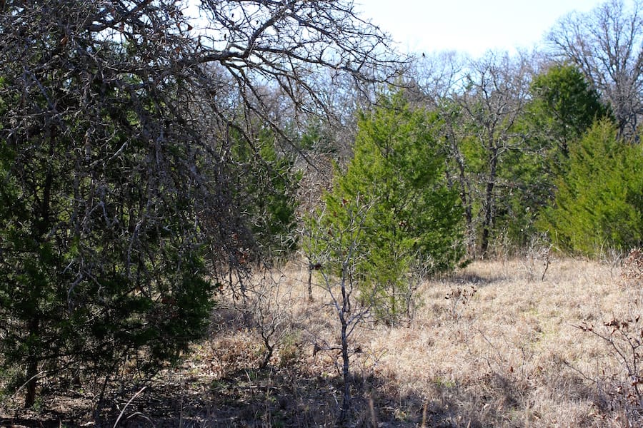 Montgomery Ranch Tract 6 photo 10