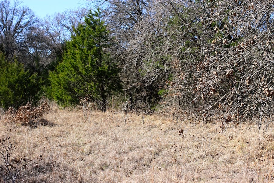 Montgomery Ranch Tract 6 photo 11