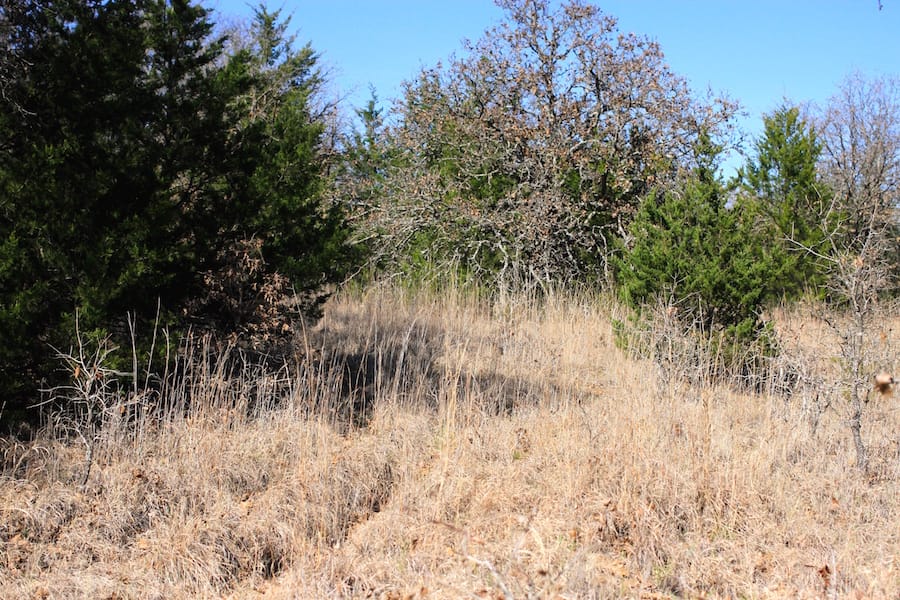 Montgomery Ranch Tract 6 photo 12