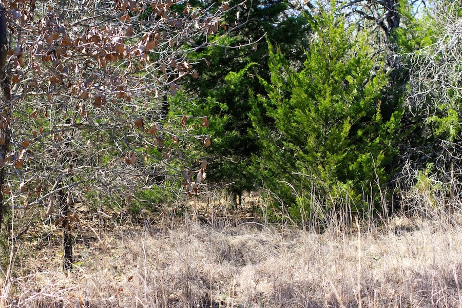 Montgomery Ranch Tract 6 photo 14