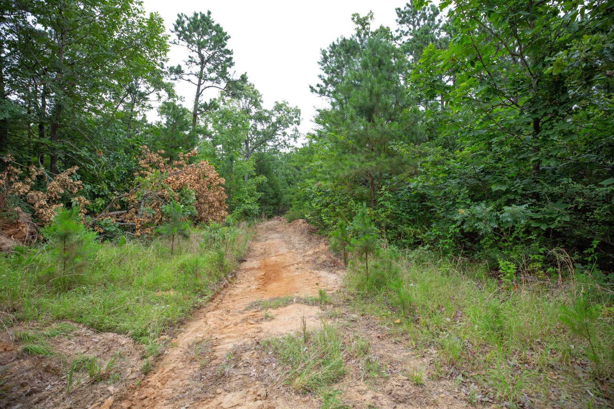 Eagle’s Nest Tract 66 photo 8