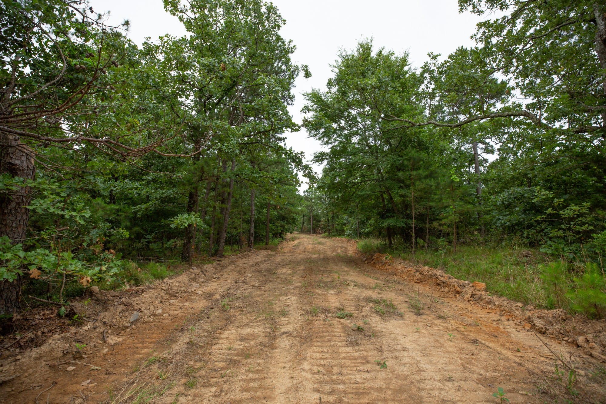 Eagle’s Nest Tract 66 photo 3