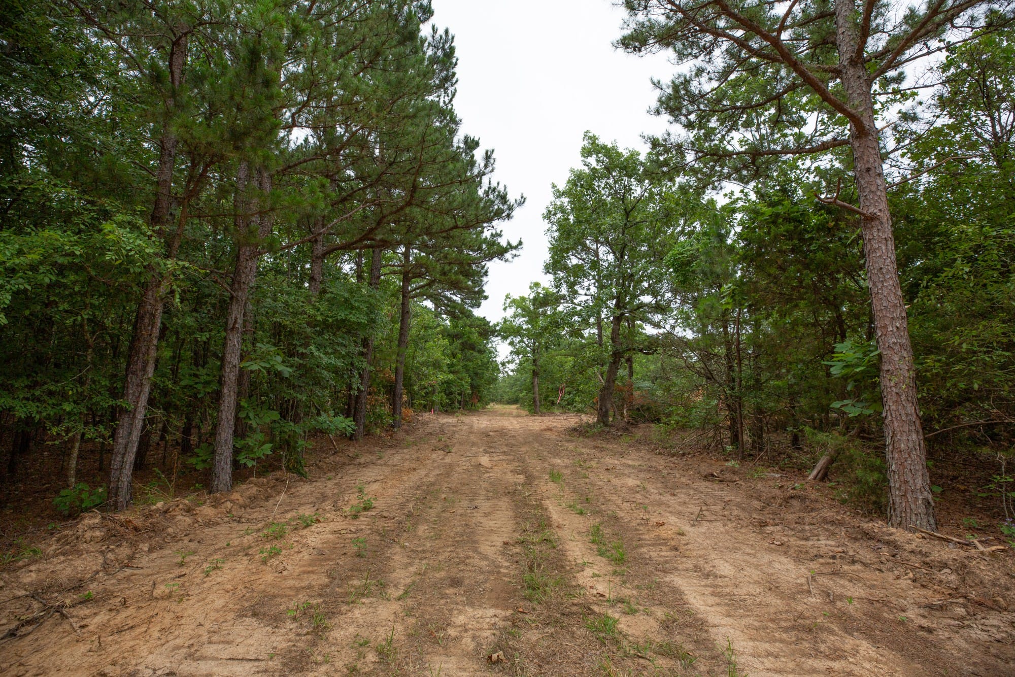 Eagle’s Nest Tract 66 photo 10