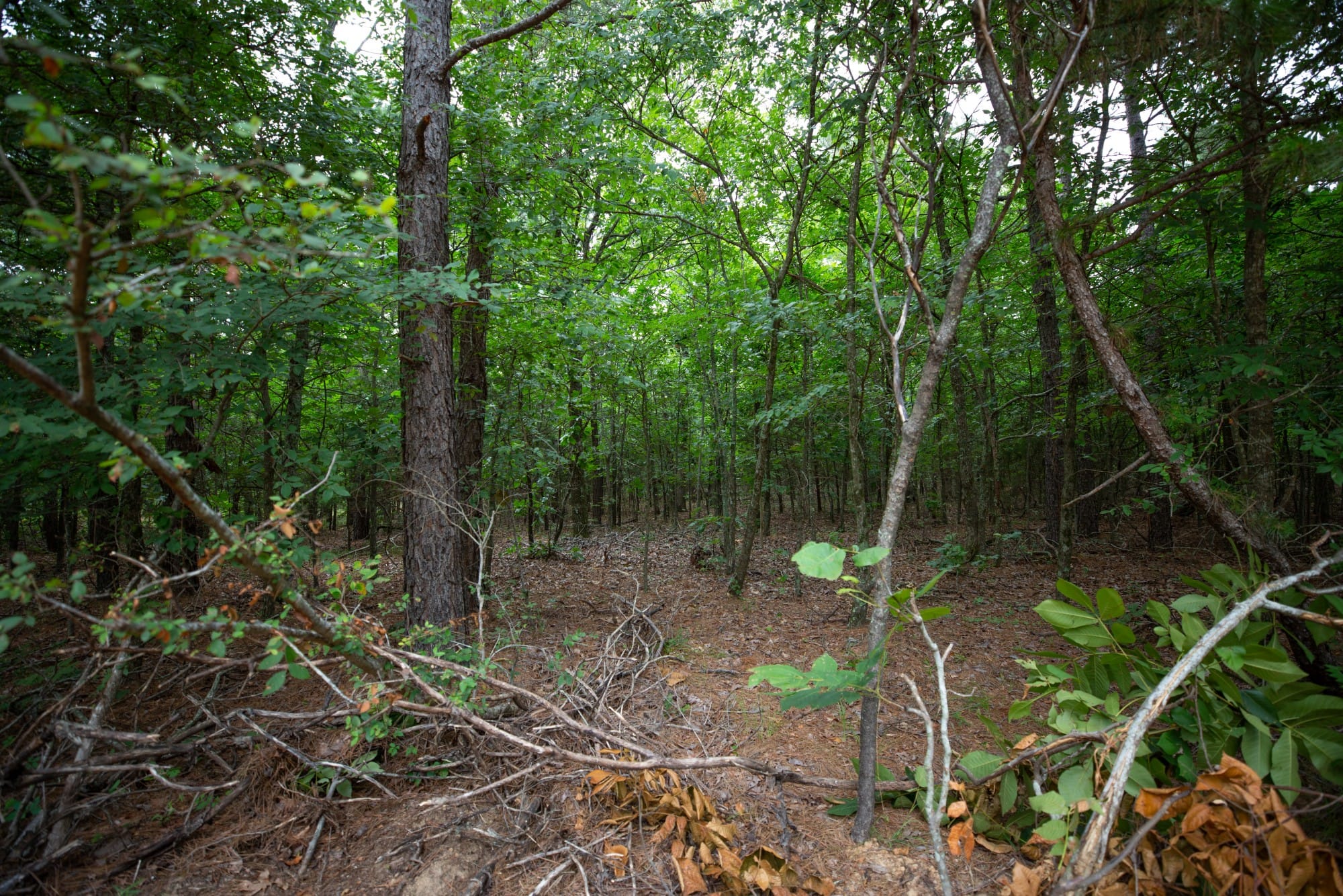 Eagle’s Nest Tract 66 photo 14