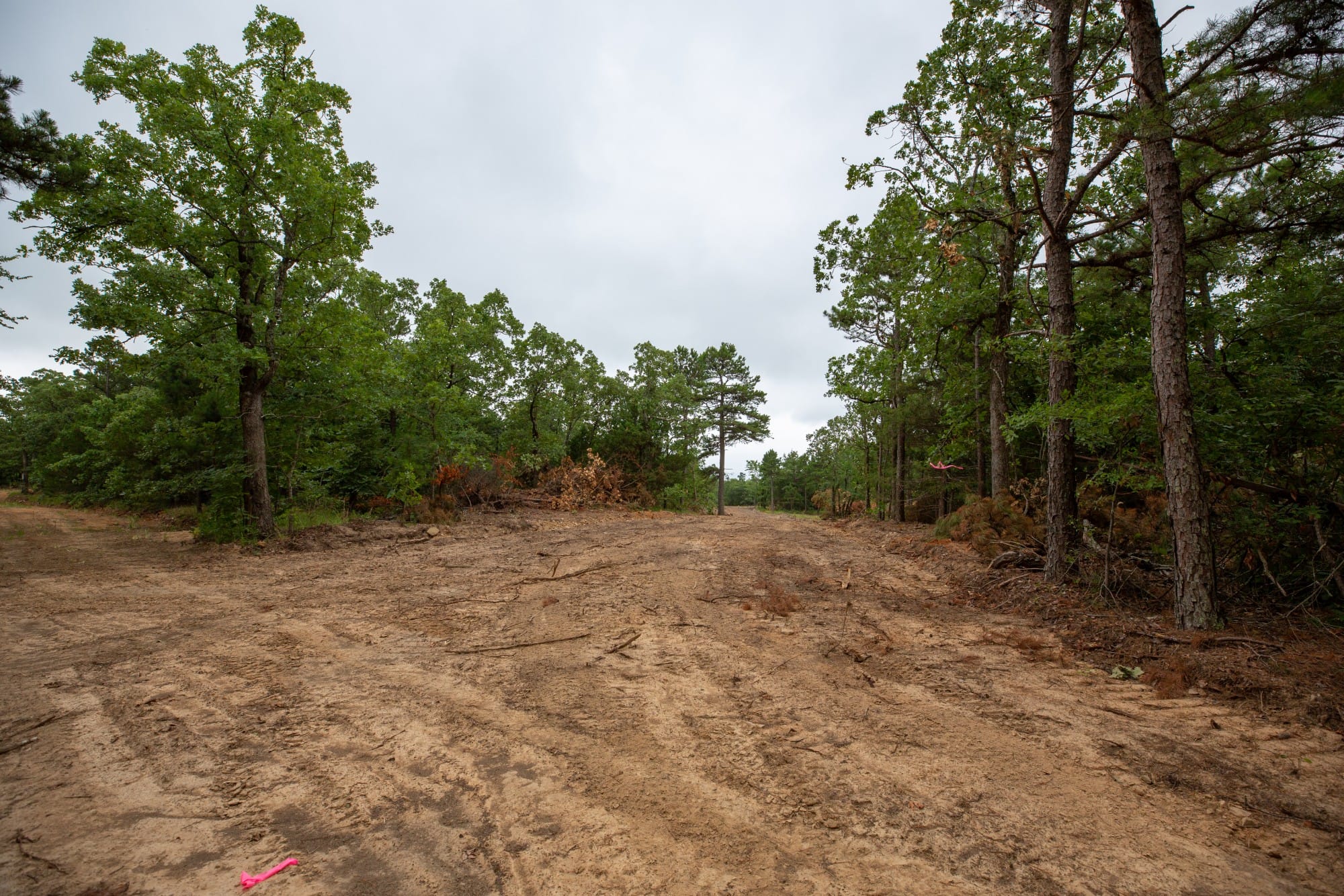 Eagle’s Nest Tract 66 photo 15