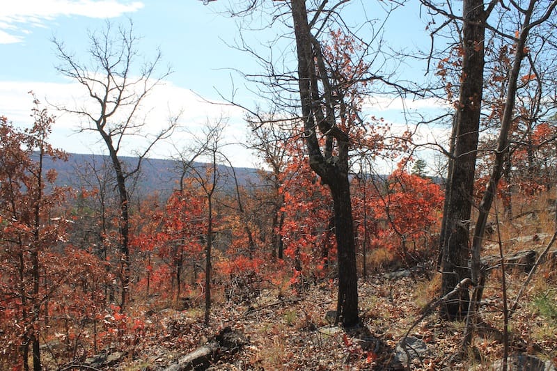 Indian Ridge – Phase I Tract 12 photo 3