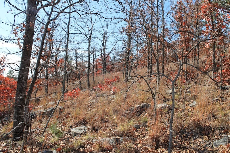 Indian Ridge – Phase I Tract 12 photo 4