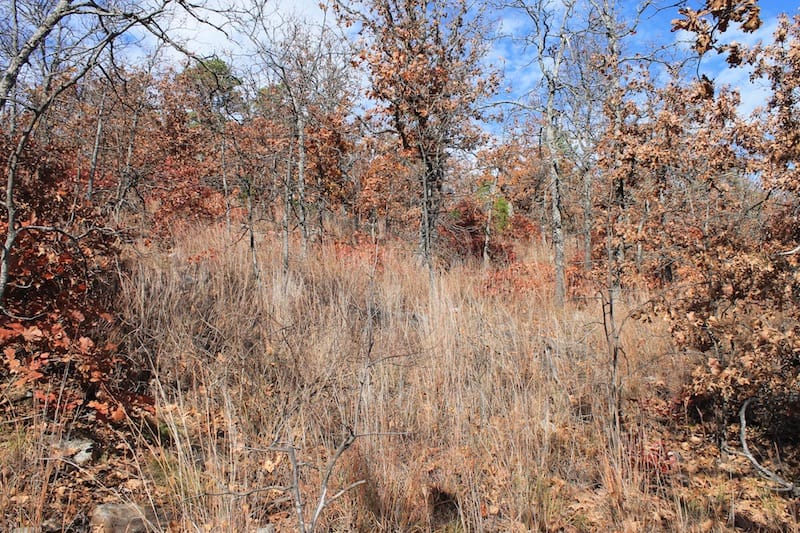 Indian Ridge – Phase I Tract 12 photo 5