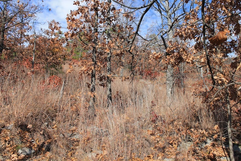 Indian Ridge – Phase I Tract 12 photo 6