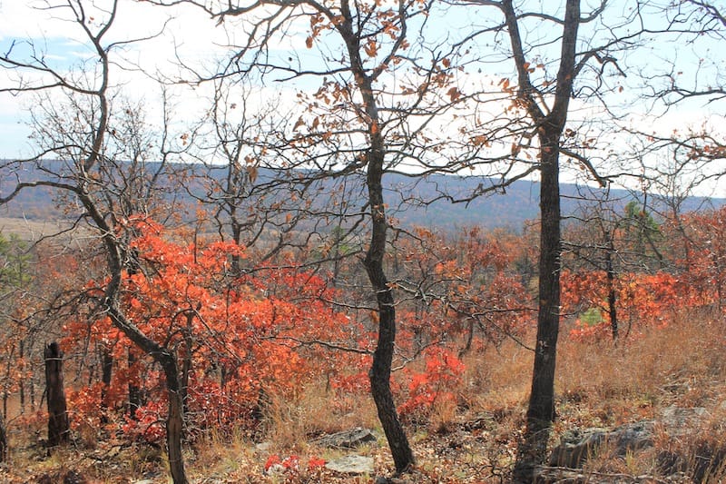 Indian Ridge – Phase I Tract 12 photo 7