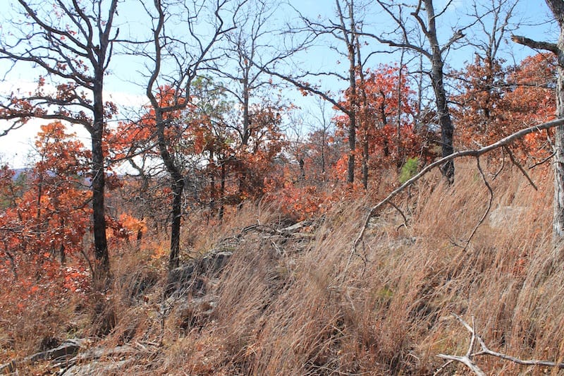 Indian Ridge – Phase I Tract 12 photo 8