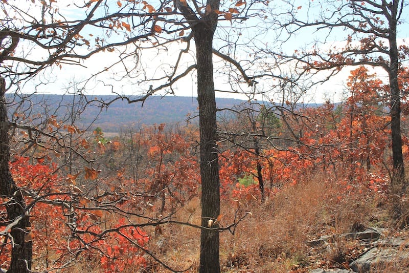Indian Ridge – Phase I Tract 12 photo 9