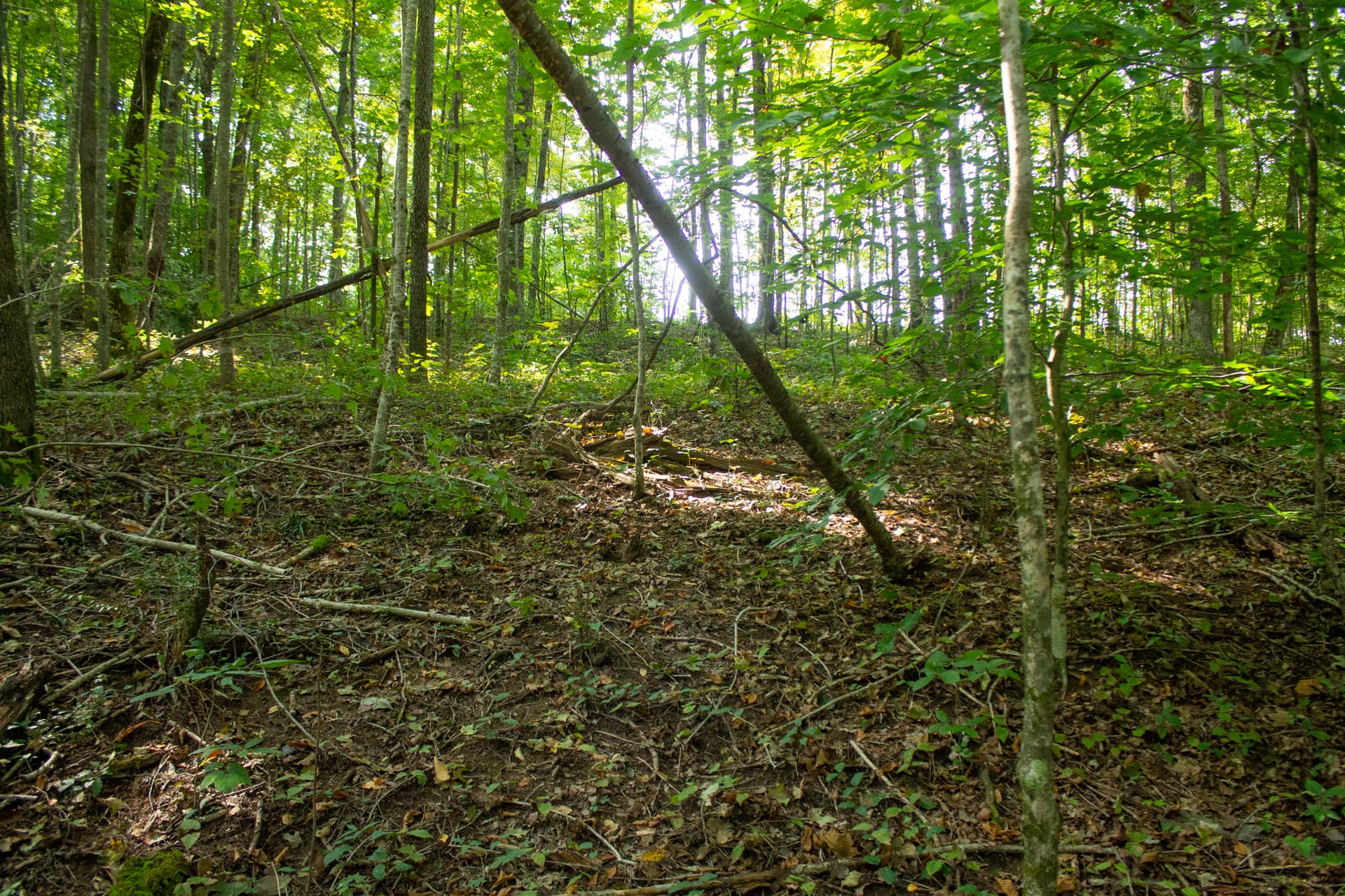 Bluegrass Ridge Tract 7 photo 4