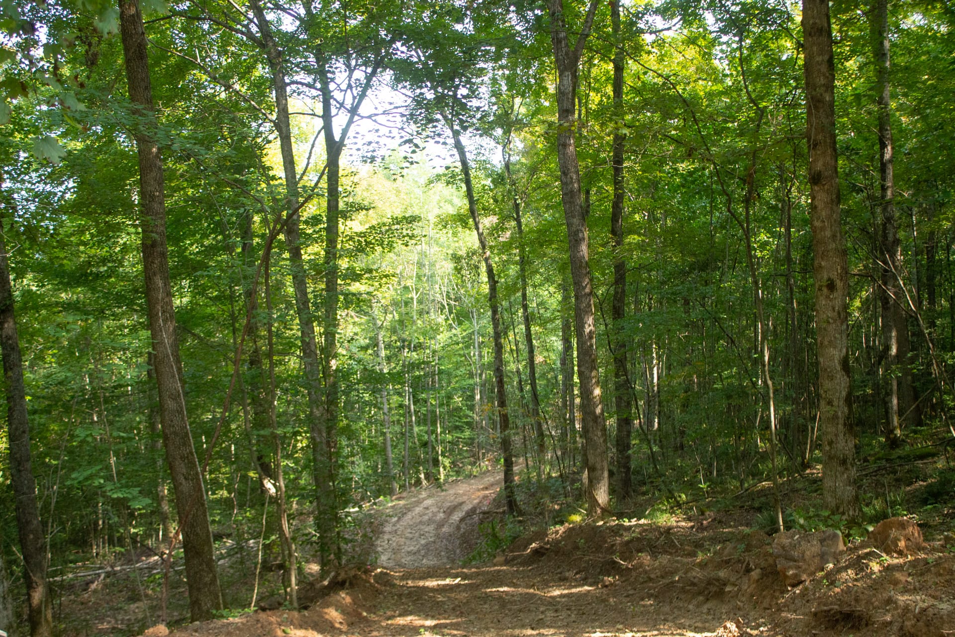 Bluegrass Ridge Tract 7 photo 6