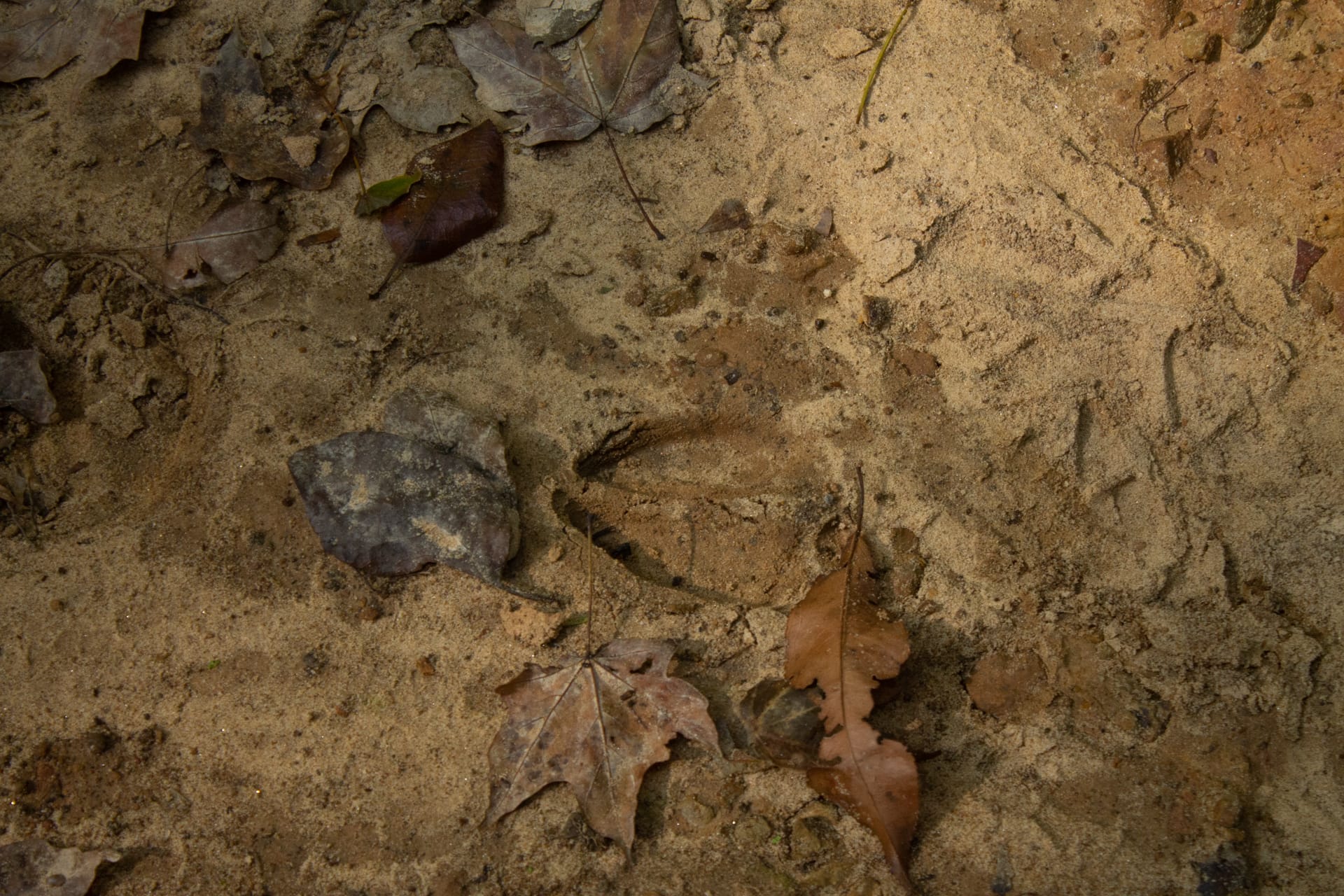 Bluegrass Ridge Tract 7 photo 9