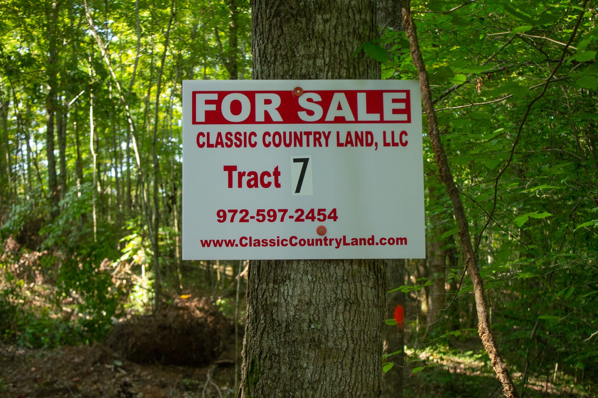 Bluegrass Ridge Tract 7 photo 1