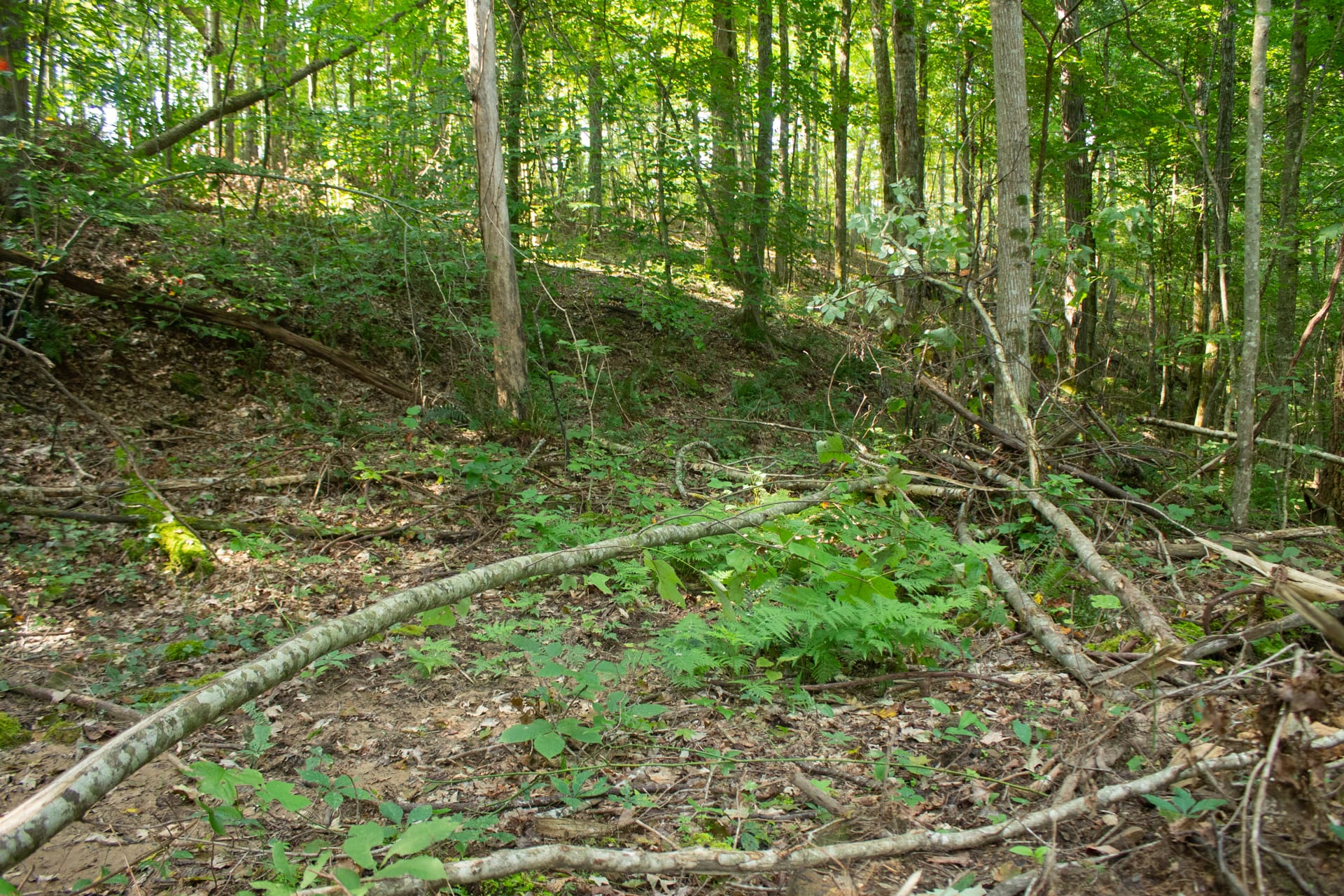 Bluegrass Ridge Tract 7 photo 13