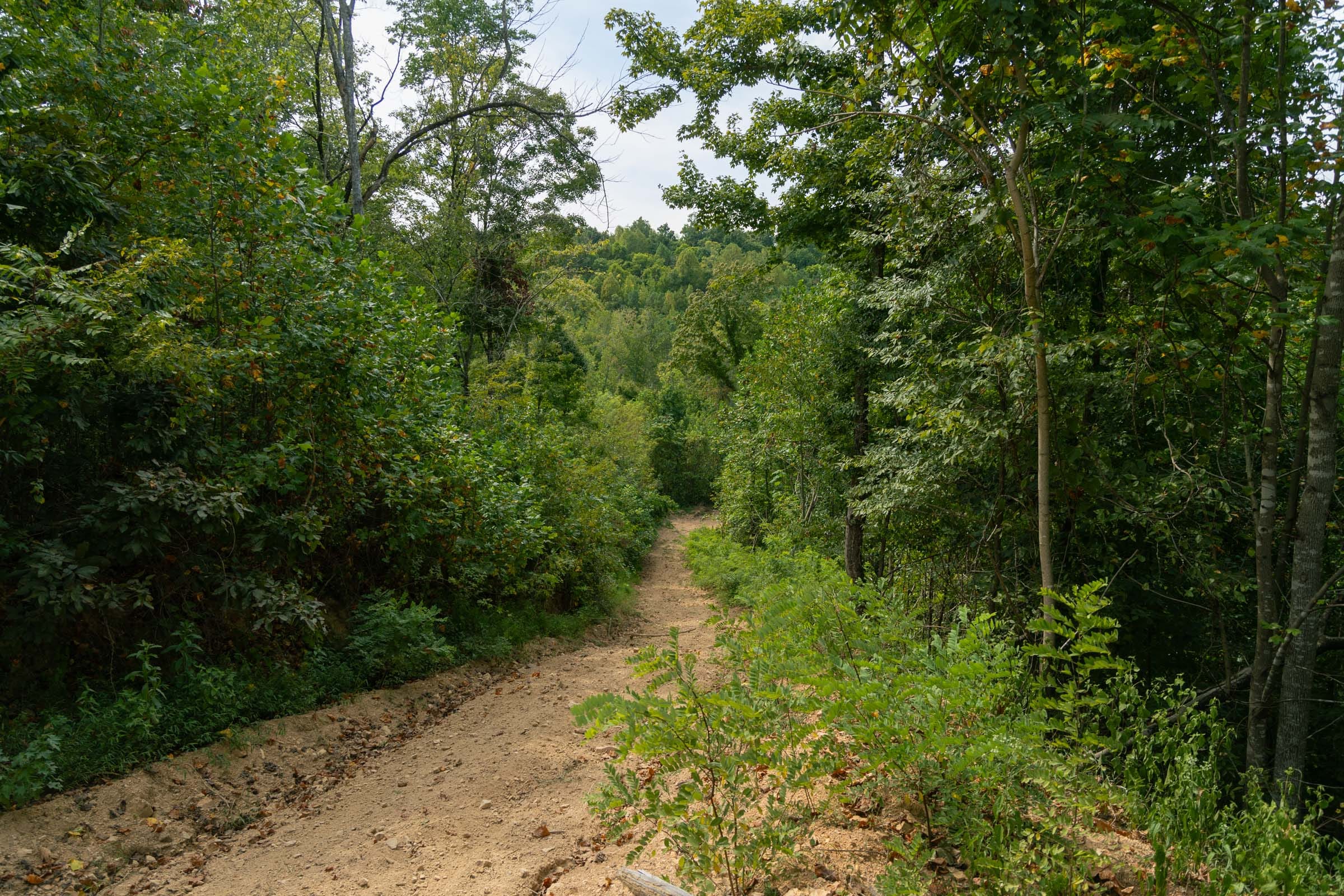 Big White Oak Tract 36 photo 2