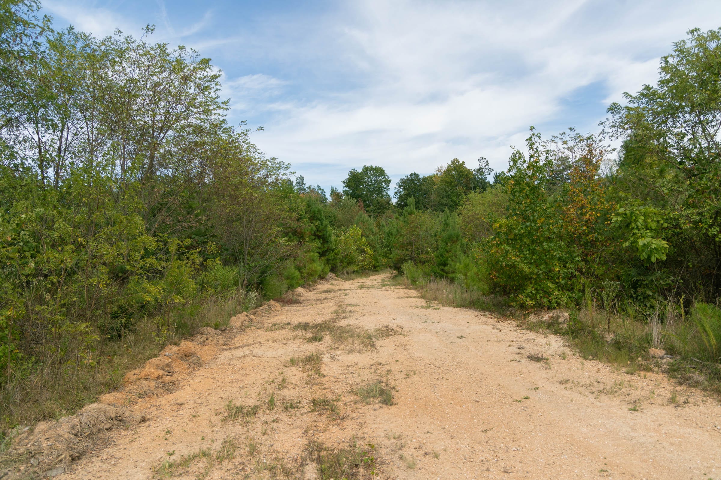 Big White Oak Tract 36 photo 1