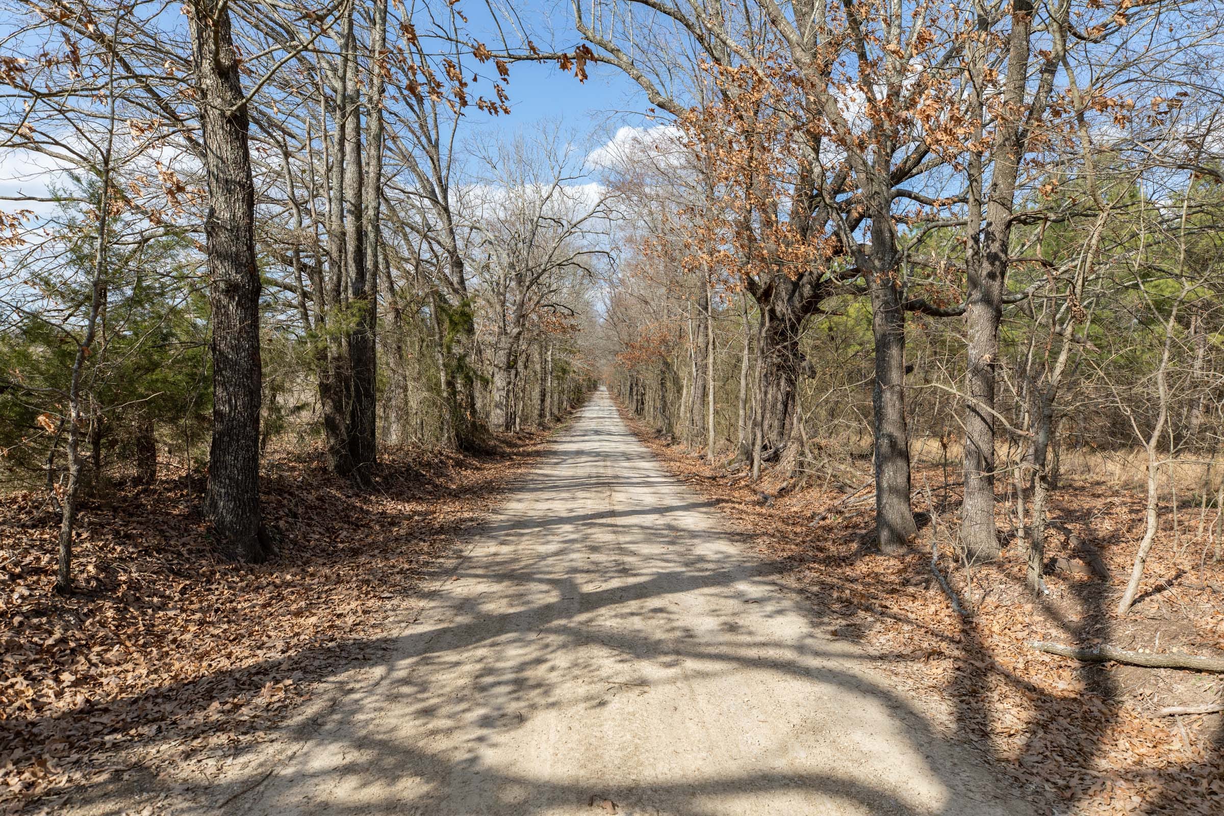 Wishing Star Ranch Tract 43 photo 6