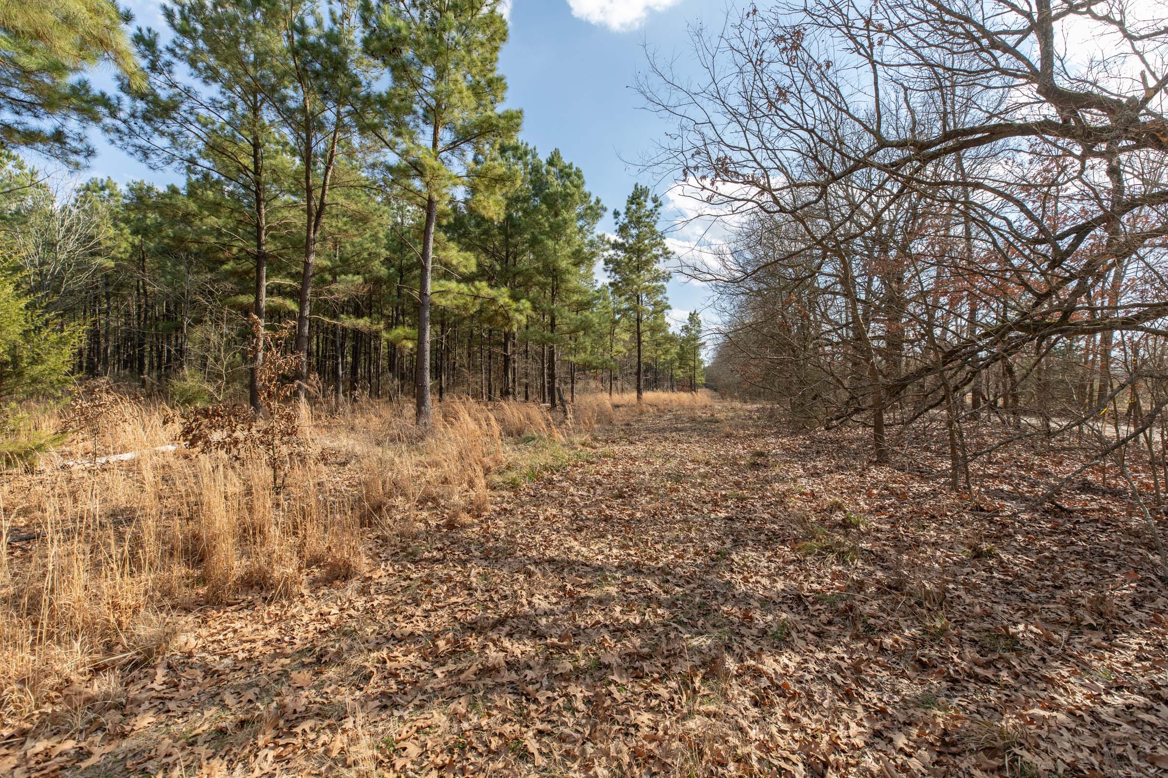 Wishing Star Ranch Tract 43 photo 3
