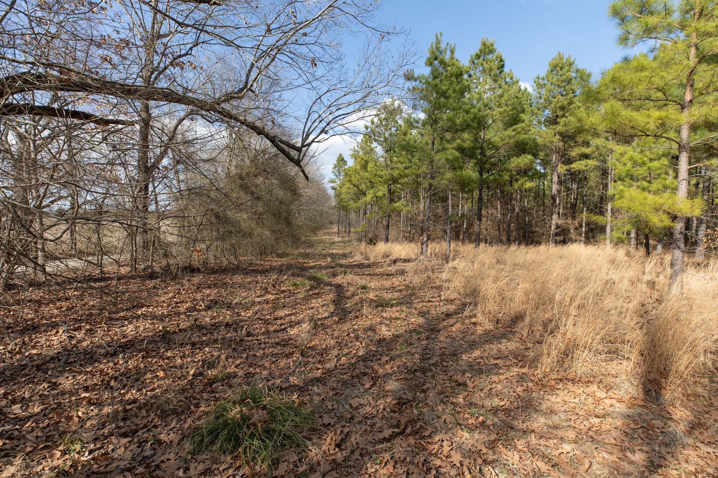 Wishing Star Ranch Tract 43 photo 4