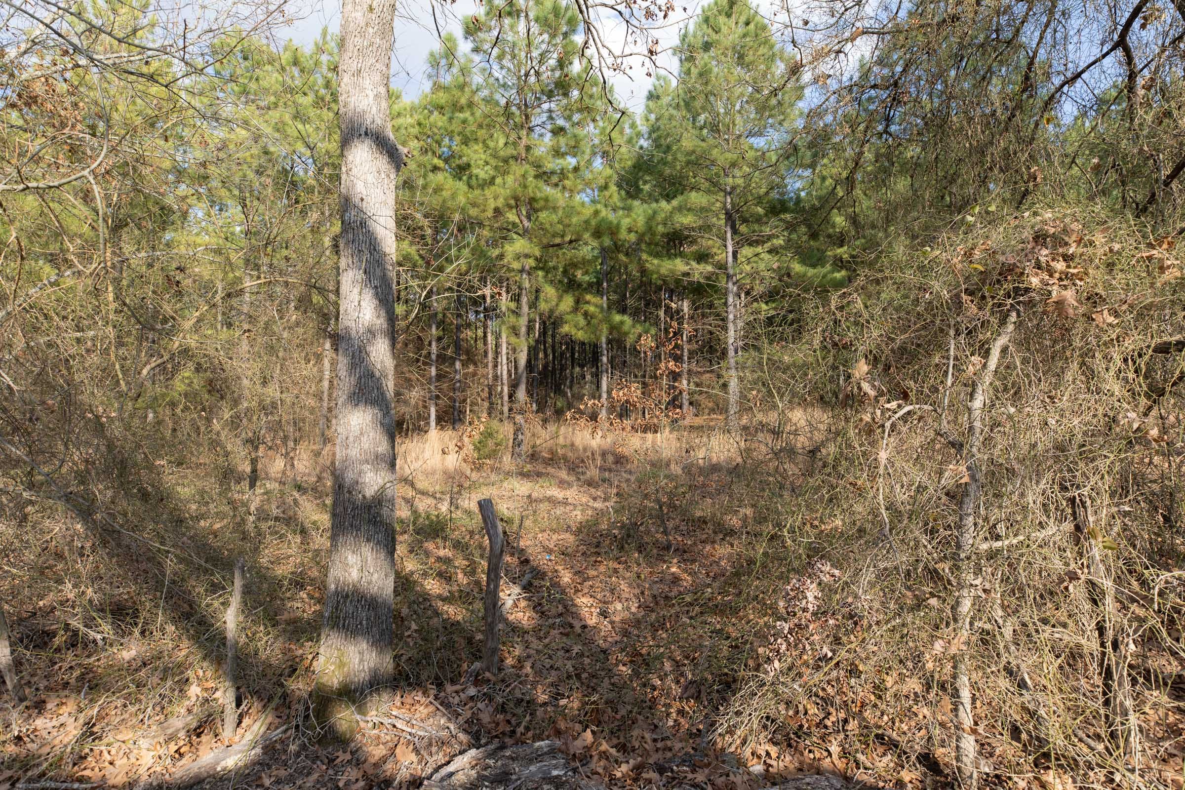 Wishing Star Ranch Tract 43 photo 8