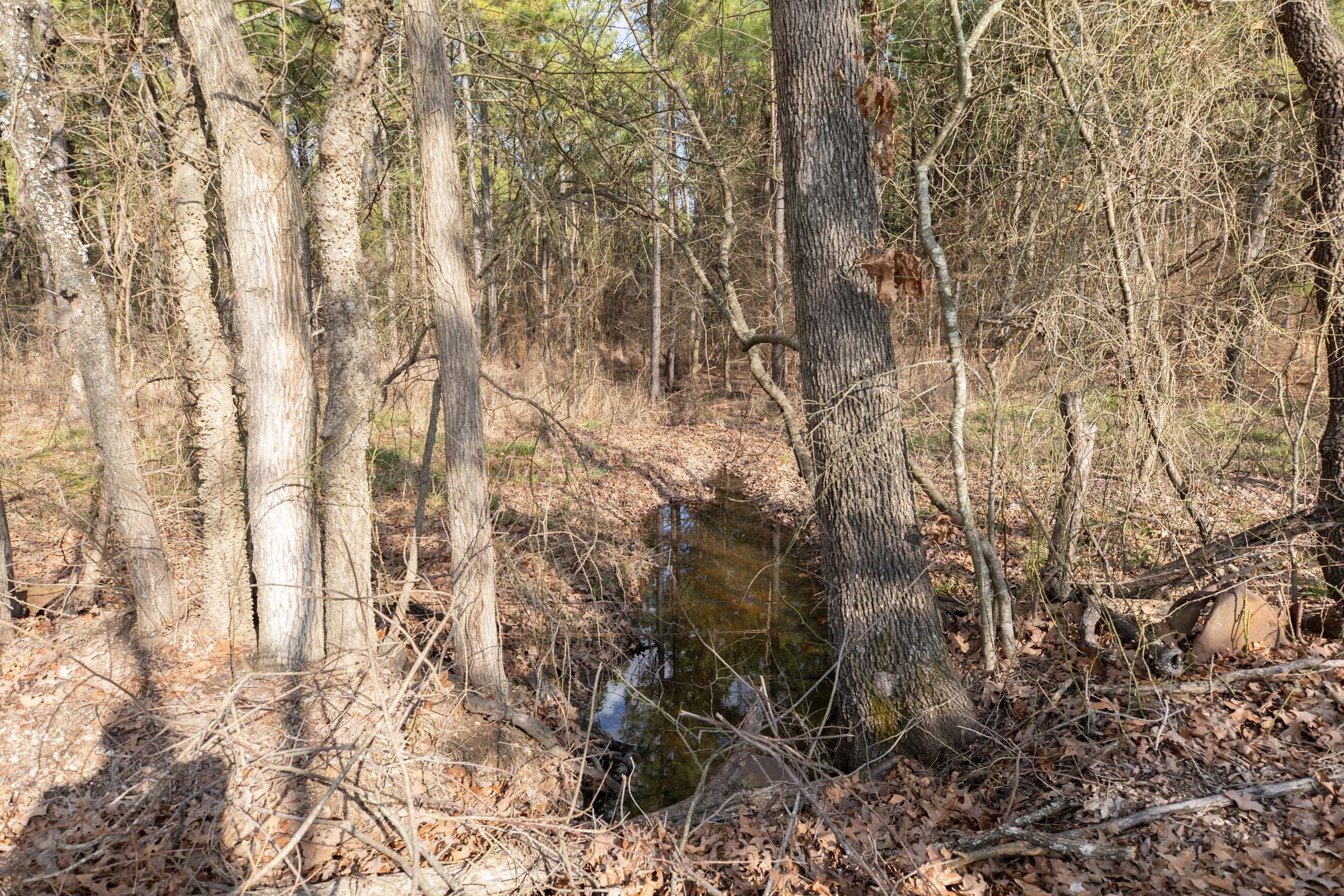 Wishing Star Ranch Tract 43 photo 10