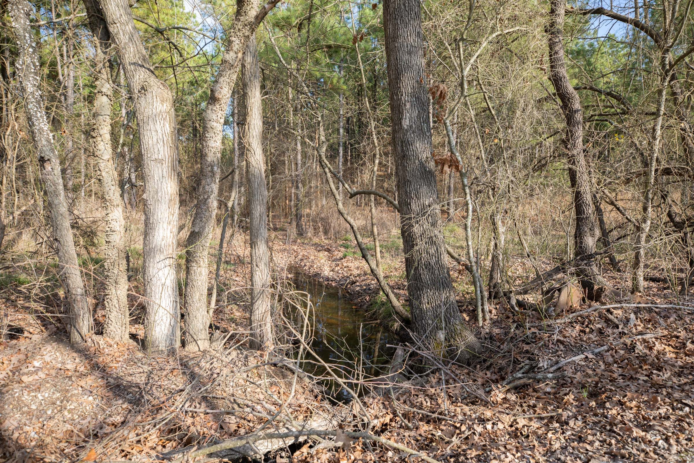 Wishing Star Ranch Tract 43 photo 11