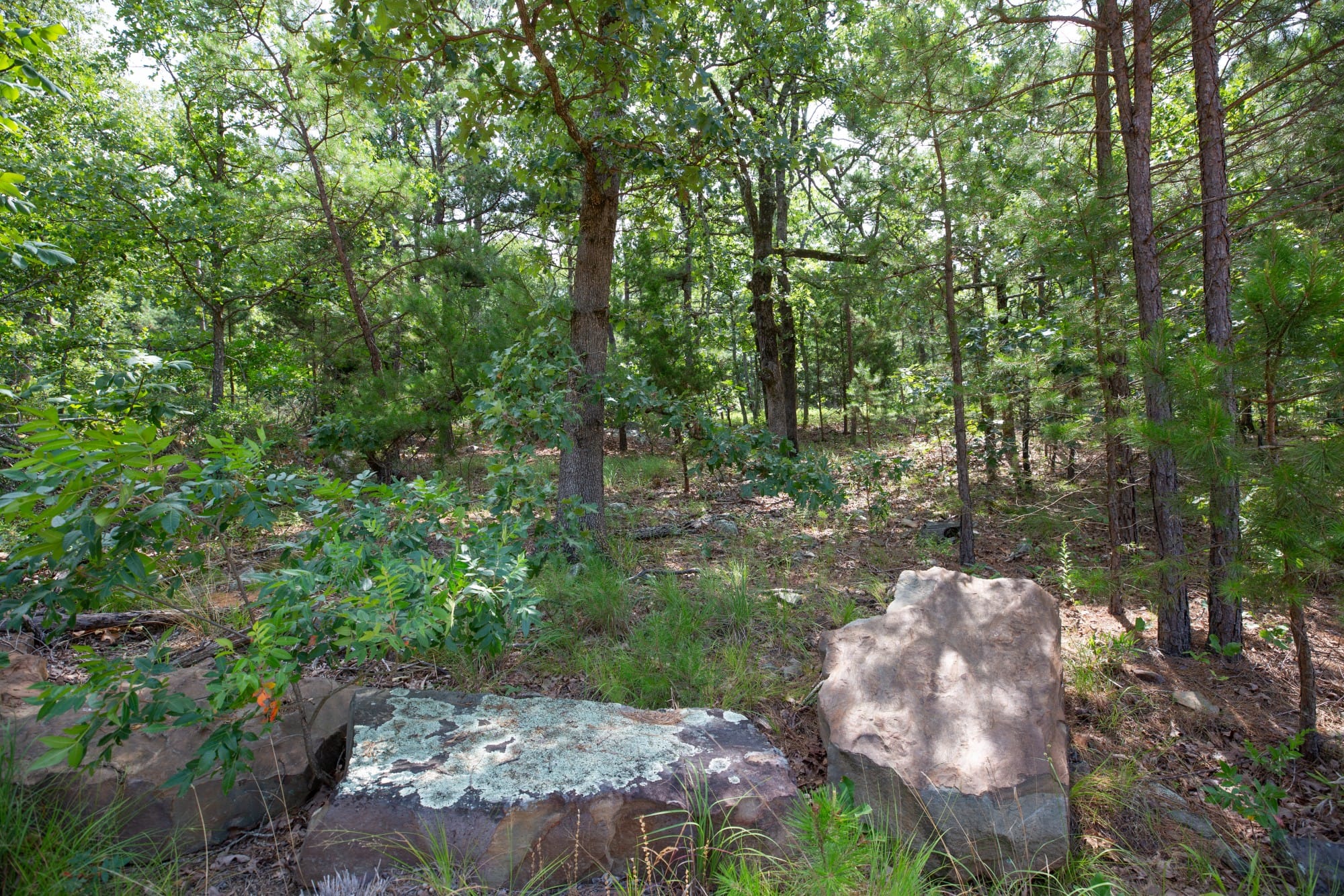Eagle’s Nest Tract 49 photo 2