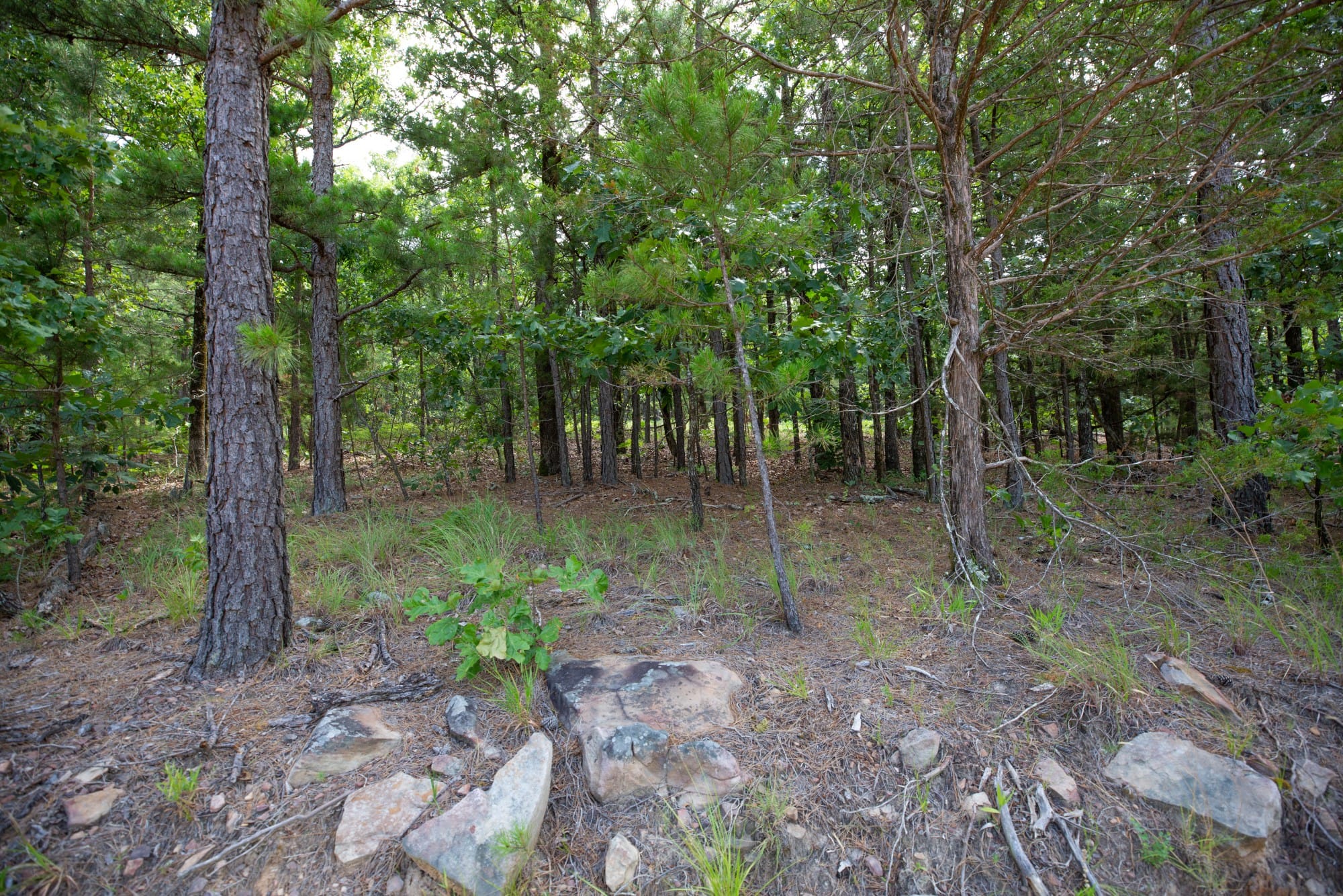 Eagle’s Nest Tract 49 photo 4