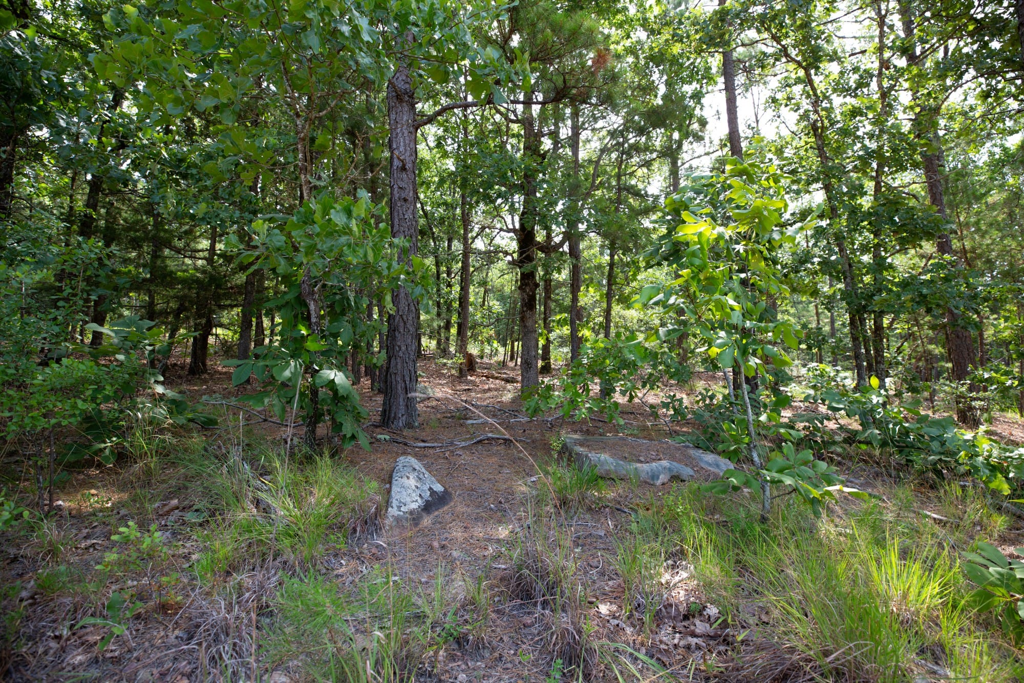 Eagle’s Nest Tract 49 photo 5