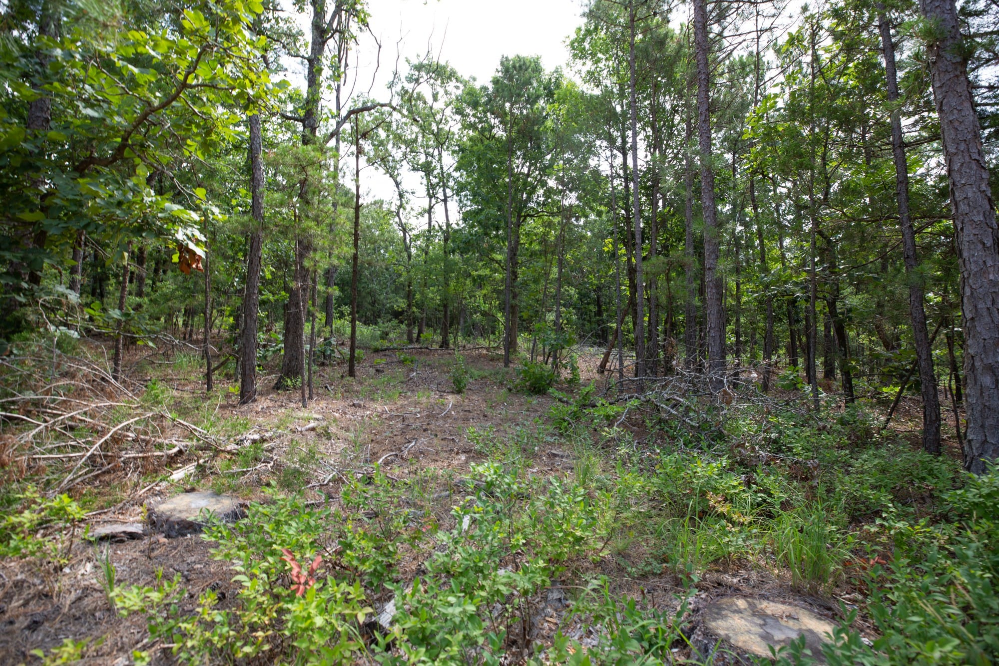 Eagle’s Nest Tract 49 photo 7