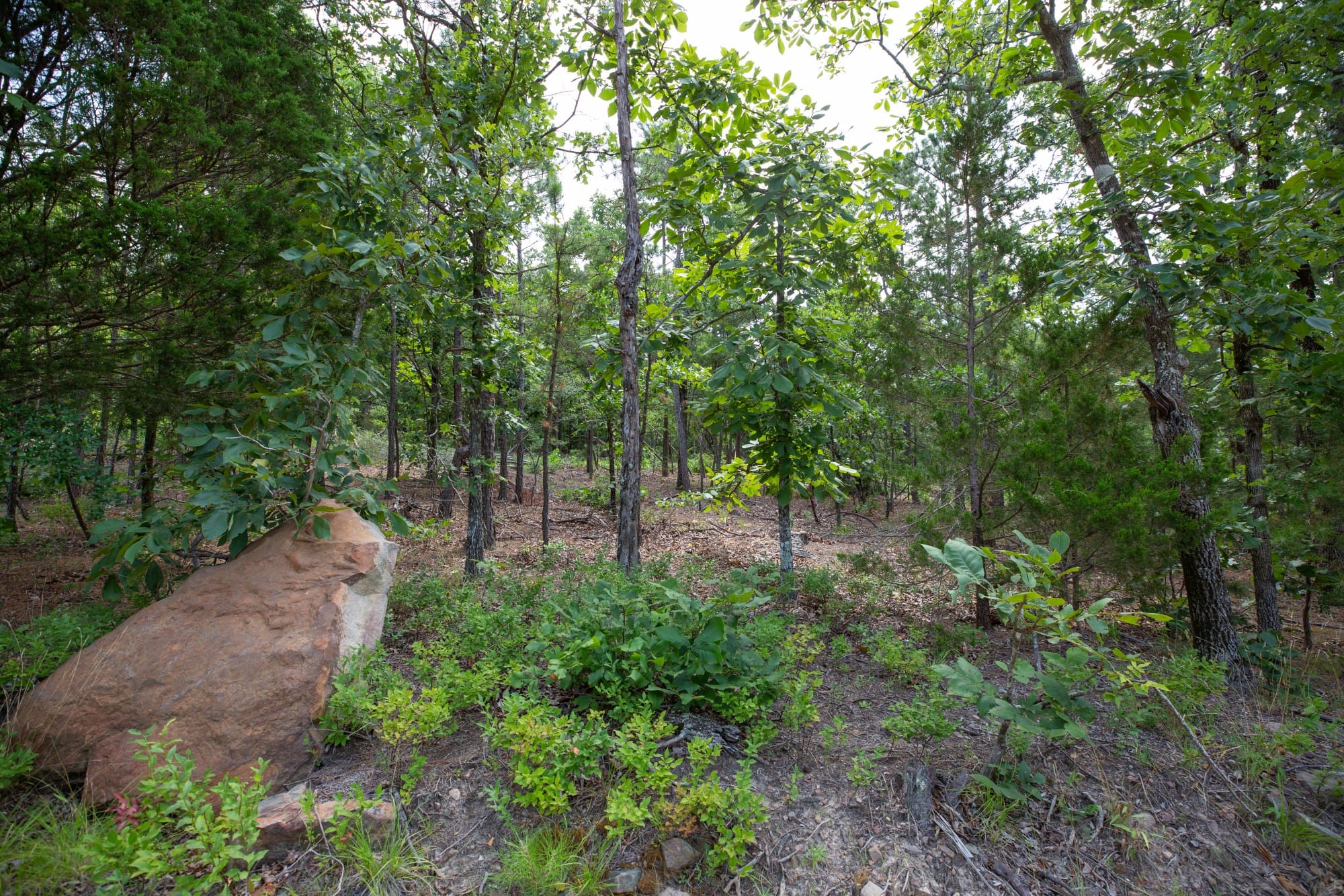 Eagle’s Nest Tract 49 photo 8