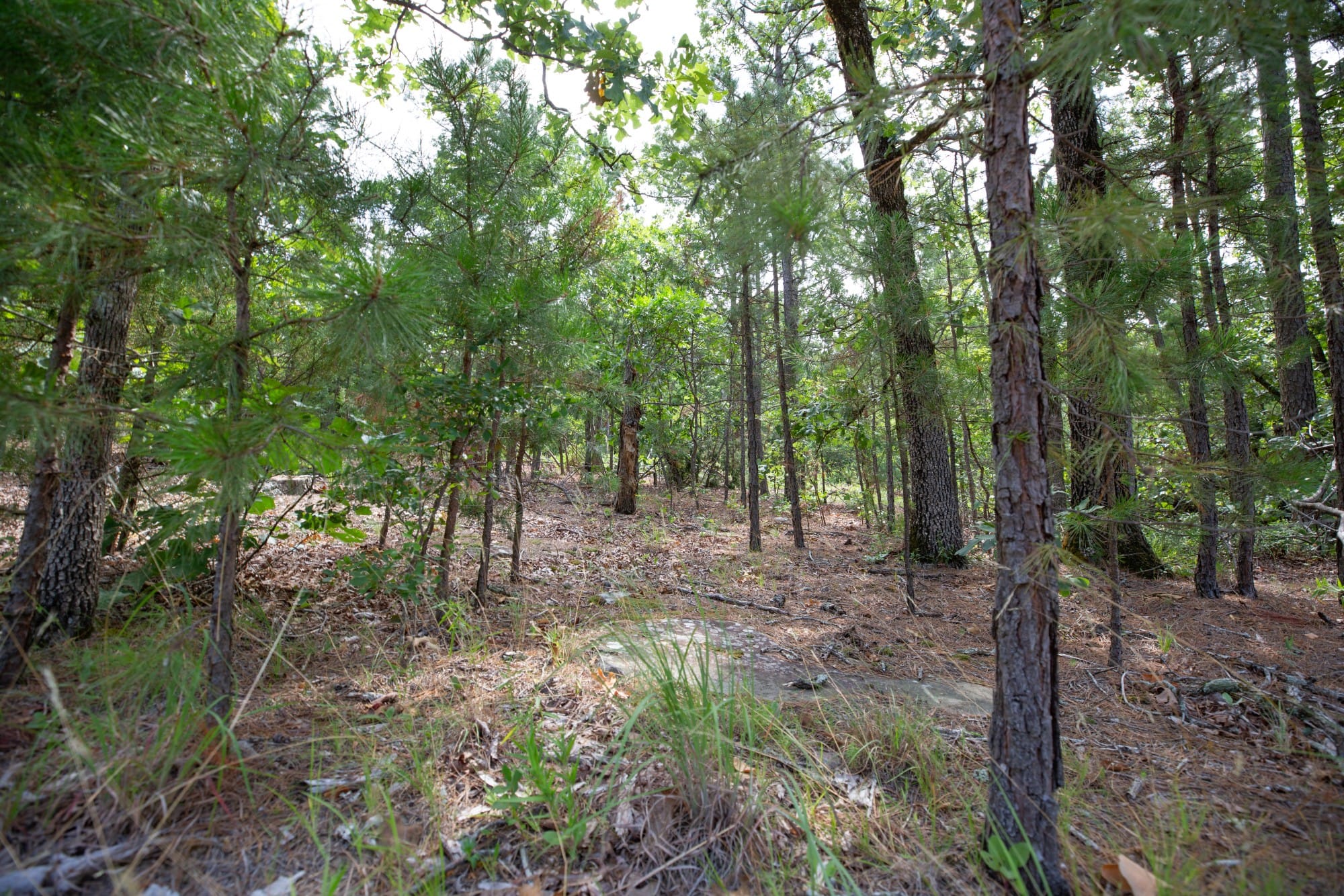 Eagle’s Nest Tract 49 photo 9
