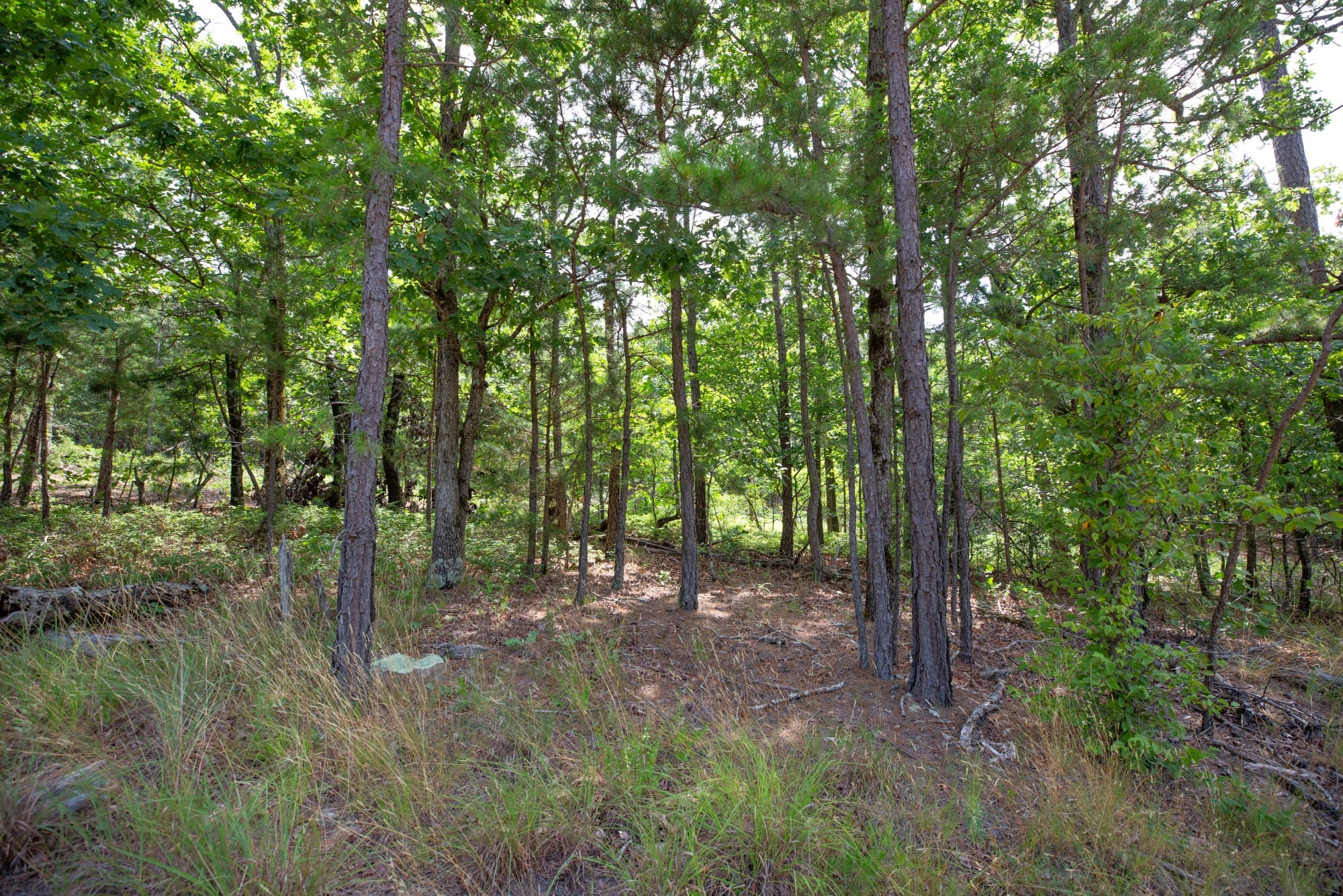 Eagle’s Nest Tract 49 photo 12