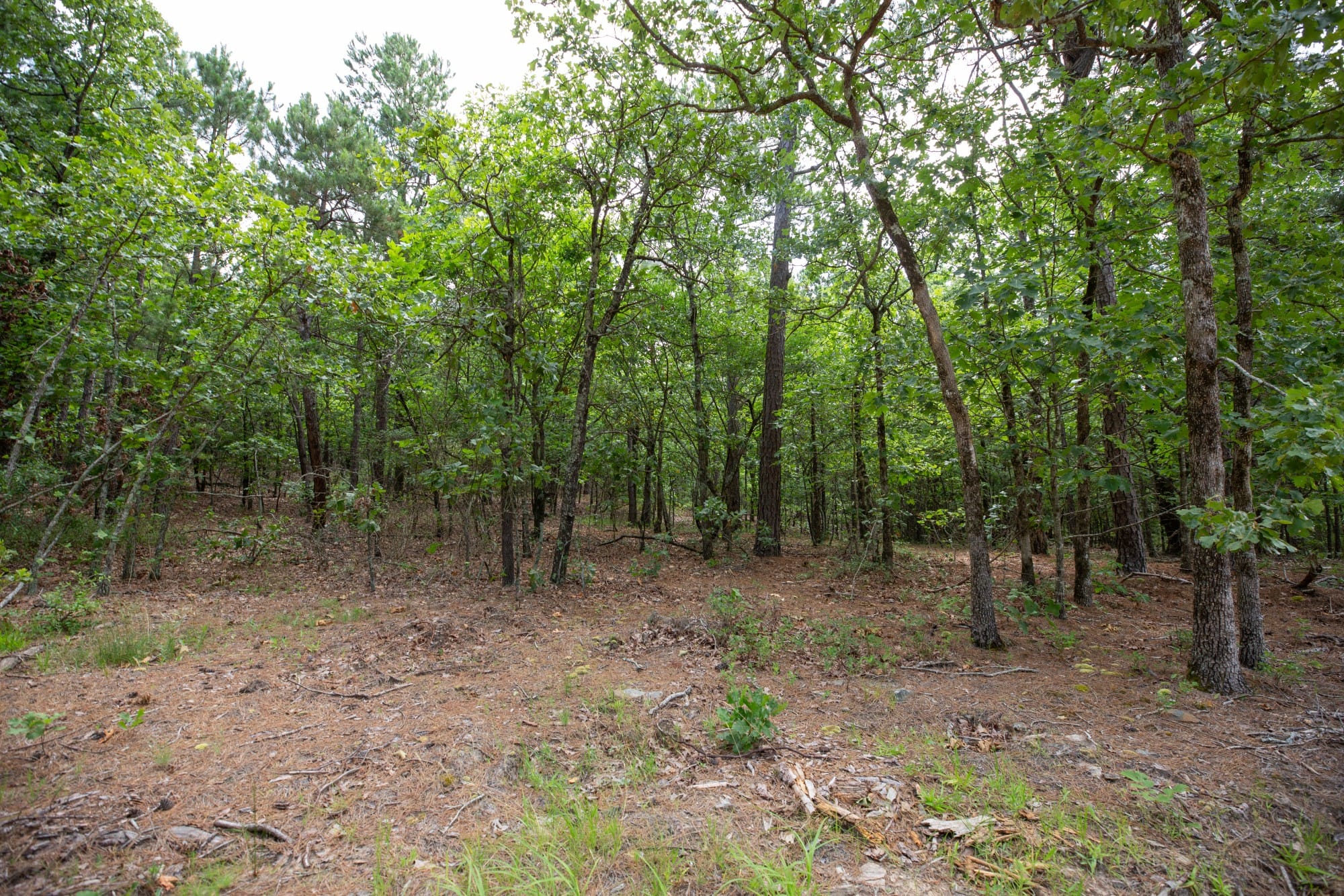 Eagle’s Nest Tract 49 photo 15