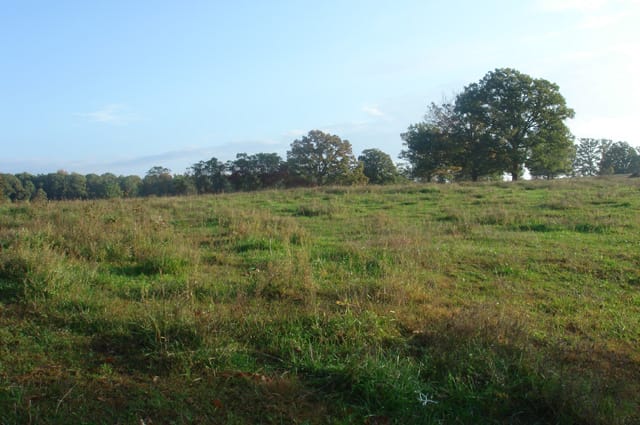 Valley View Ranch Tract 3 photo 3