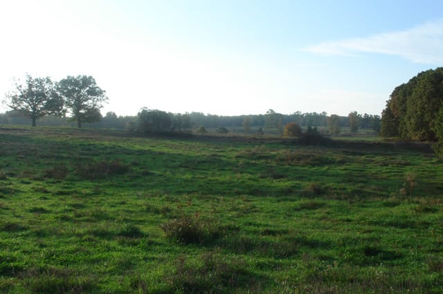 Valley View Ranch Tract 3 photo 4