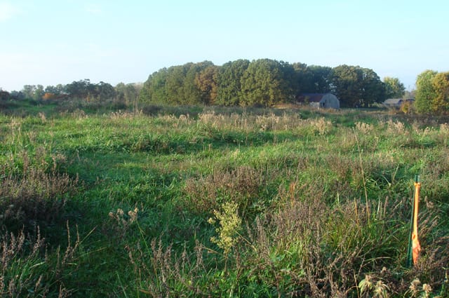 Valley View Ranch Tract 3 photo 5