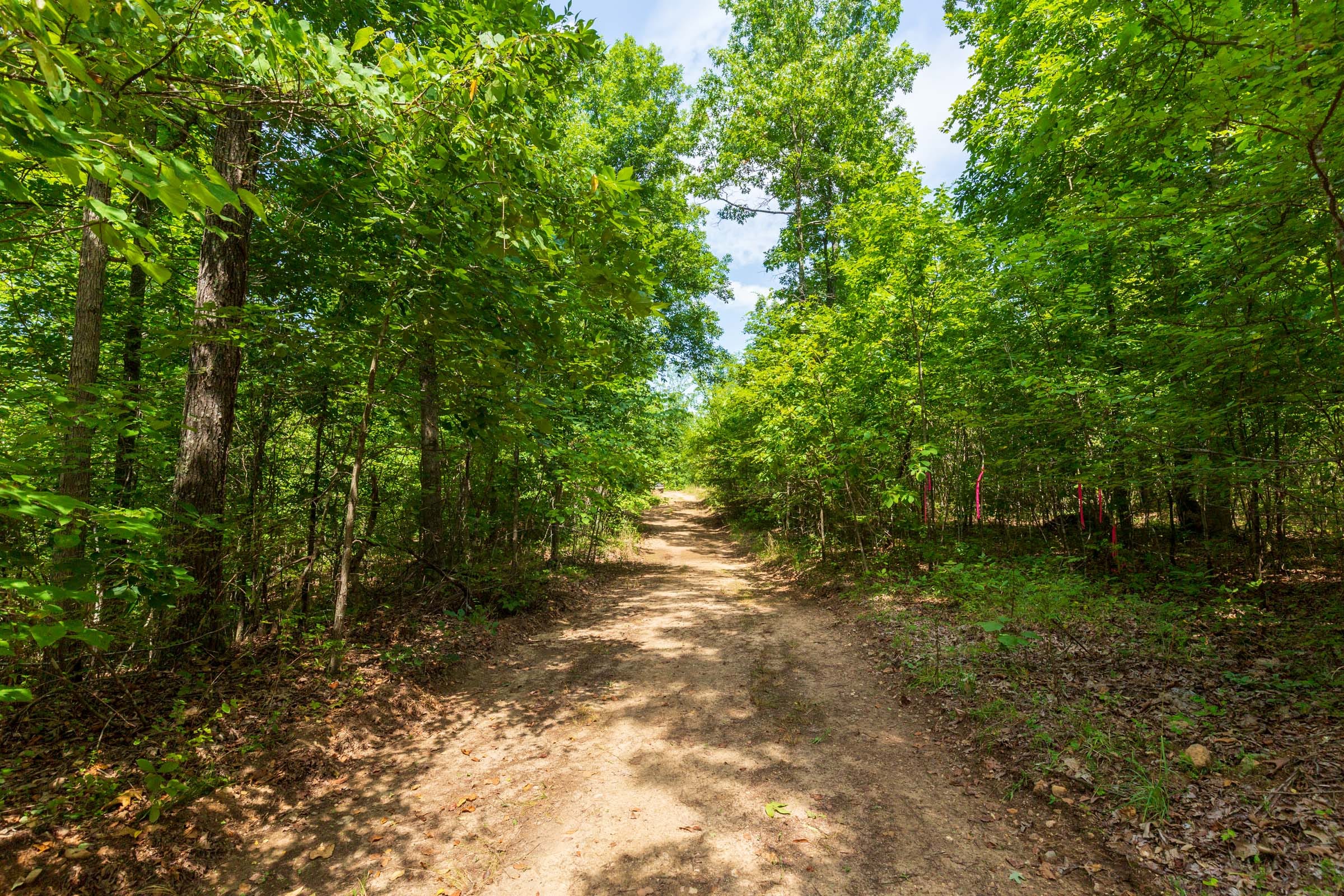 Cypress Ridge Tract 13 photo 1