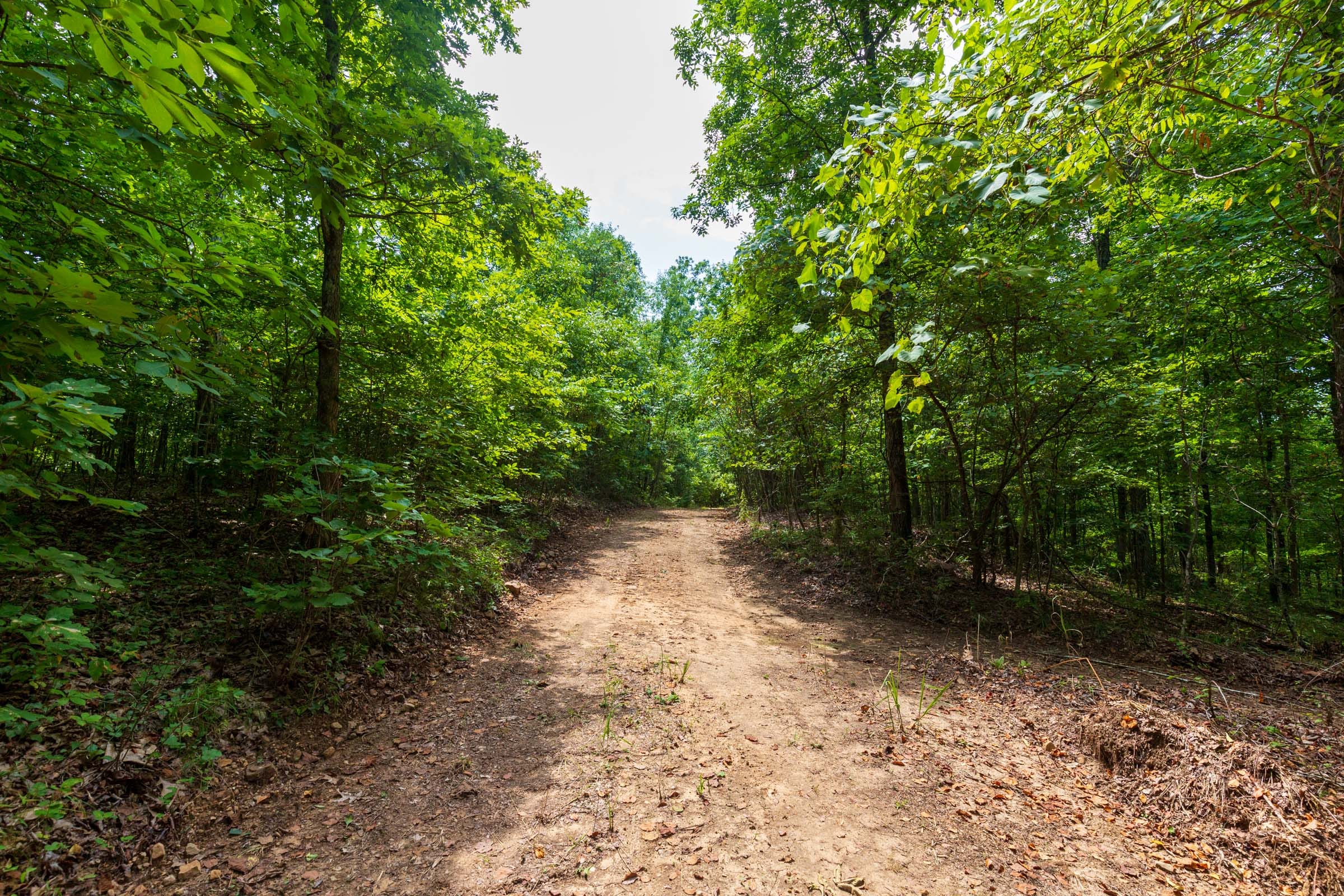 Cypress Ridge Tract 13 photo 8