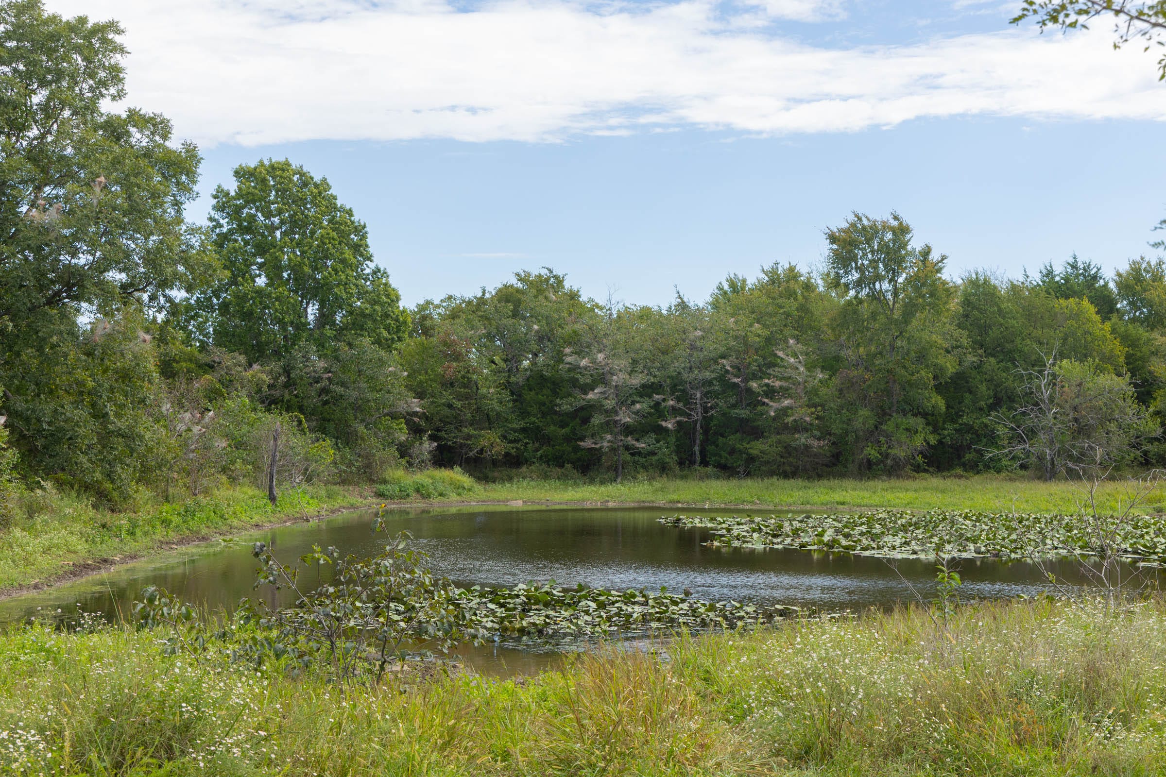 Reserves At Cattail Cove Phase II Tract 76 photo 8