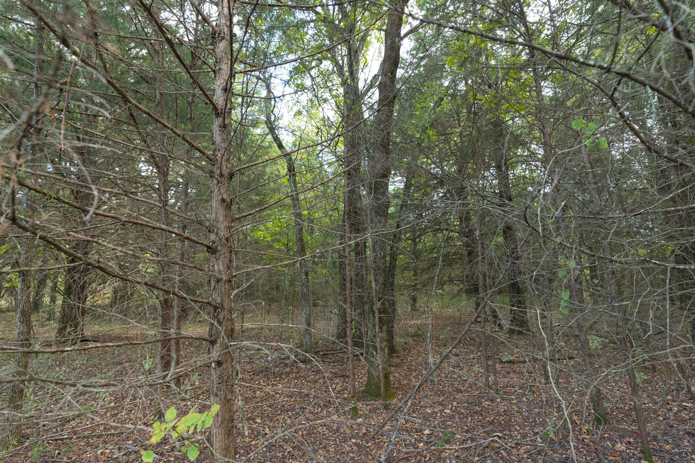 Reserves At Cattail Cove Phase II Tract 79 photo 13